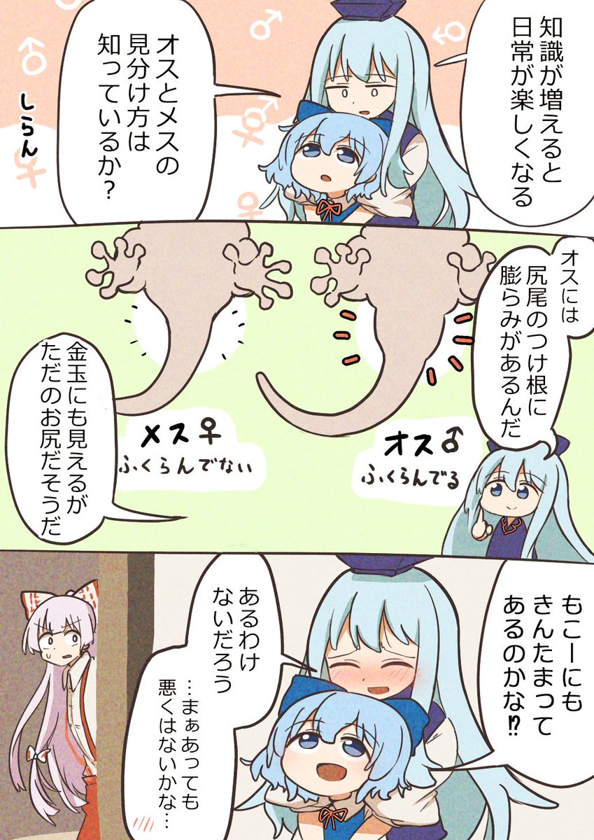 けーねとヤモリとチルノときんたま 