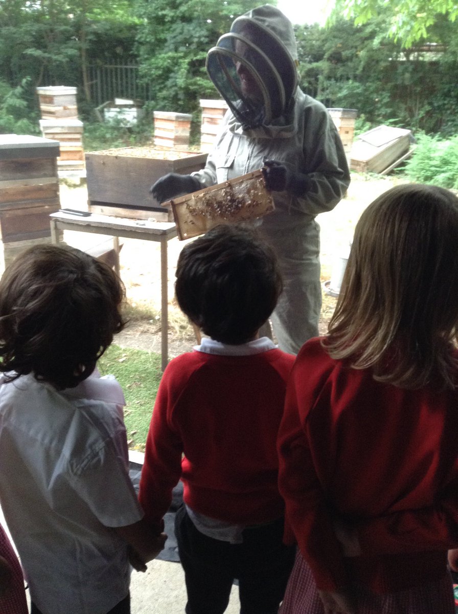 BillyBobbyBear's tweet photo. Thank you to Twickenham Beekeepers Association for a fantastic morning. Reception really enjoyed learning about honey bees and pollination. @britishbee https://t.co/OU4CszdH0S