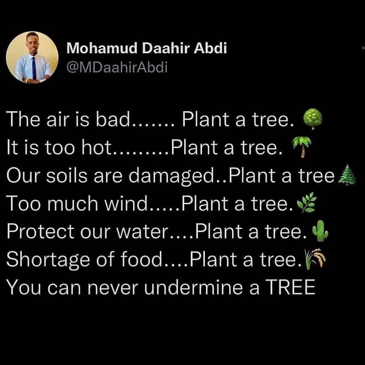 FazlanKik's tweet photo. Plant a Tree 🌳 #GoHomeGota2022 https://t.co/b6Nm6TCbiZ