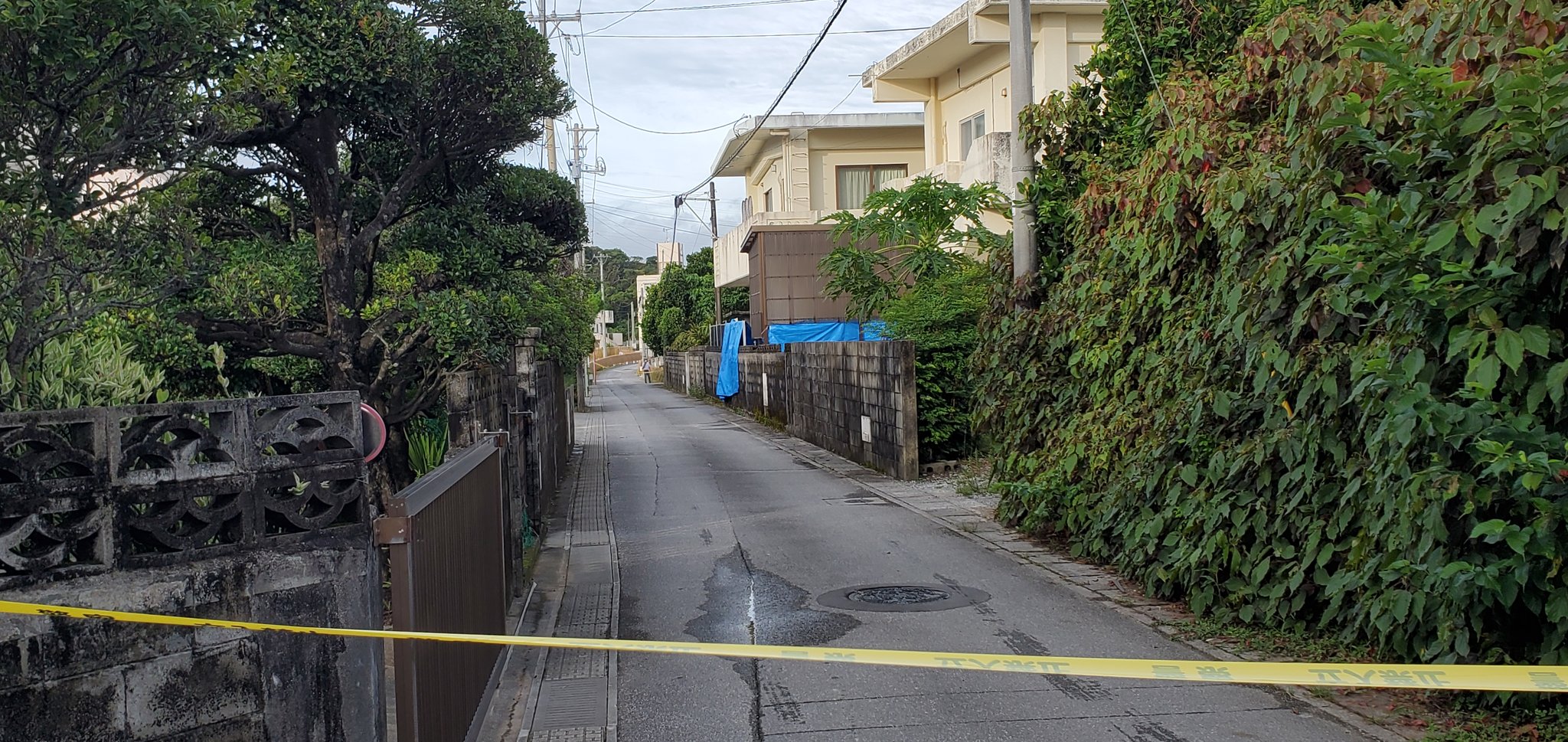 山添 拓 米軍海兵隊キャンプ ハンセンに隣接する地区で民家の窓ガラスが割れ 付近には銃弾が見つかったという 基地内には実弾を使う施設があり流れ弾の可能性が ところが米軍は 事故が起きても訓練をやめない こんな理不尽が許されてはならない