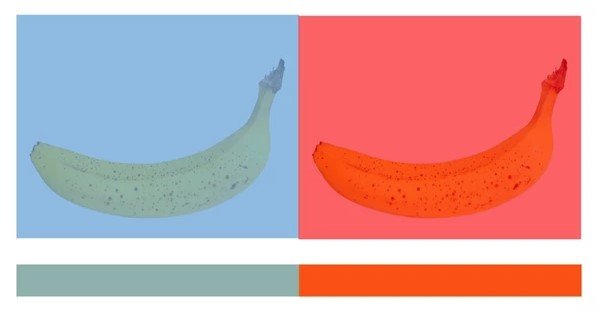 BraintasticSci's tweet photo. 😲 Not only are illusions great fun, but they also tell us a lot about how our amazing brains work.

Here are 5 of our favourite visual illusions:

https://t.co/THAl7rgsgg

#Illusions #VisualIllusions #ScienceFun #Neuroscience https://t.co/kdy5qg5u12
