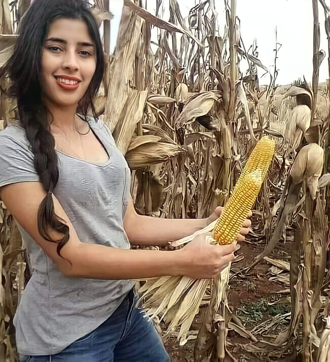 ColResistiendo's tweet photo. “Si Estados Unidos quiere que menos cocaína llegue a su territorio, entonces hay que cultivar más maíz en Colombia, hay que hacer un balance”: @petrogustavo https://t.co/pSLqJ8uXWP