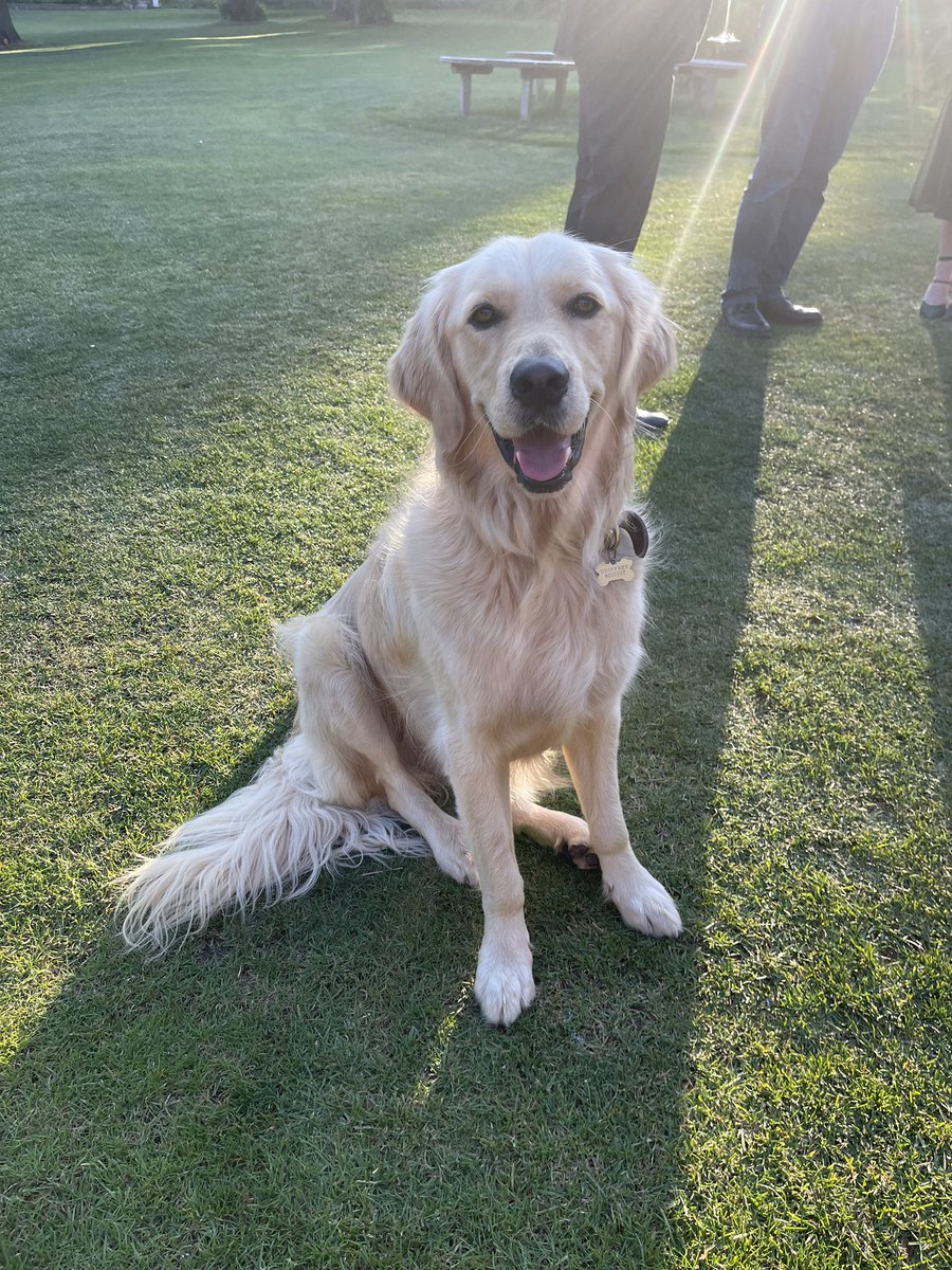 Just smilin’ that’s all x