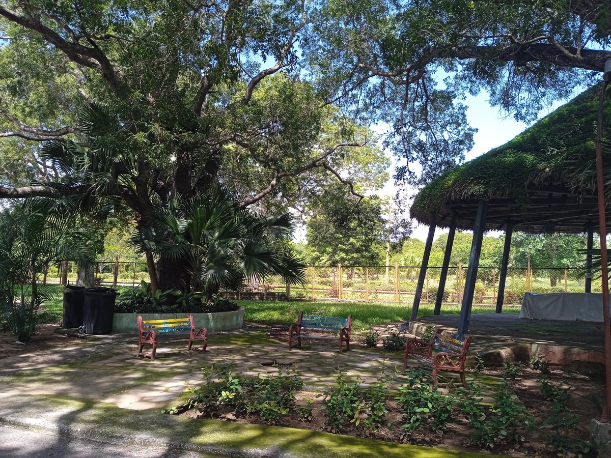HTunas89's tweet image. Parque Zoológico Las Tunas, Cuba

#blog #HTunas #travel #LasTunas #Cuba