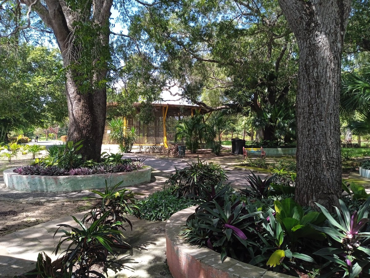 HTunas89's tweet image. Parque Zoológico Las Tunas, Cuba

#blog #HTunas #travel #LasTunas #Cuba