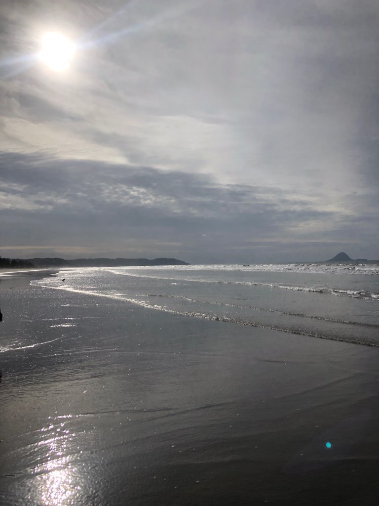 joycebudenberg's tweet image. #ashverse 
a brief moment
cherished
is eternal~