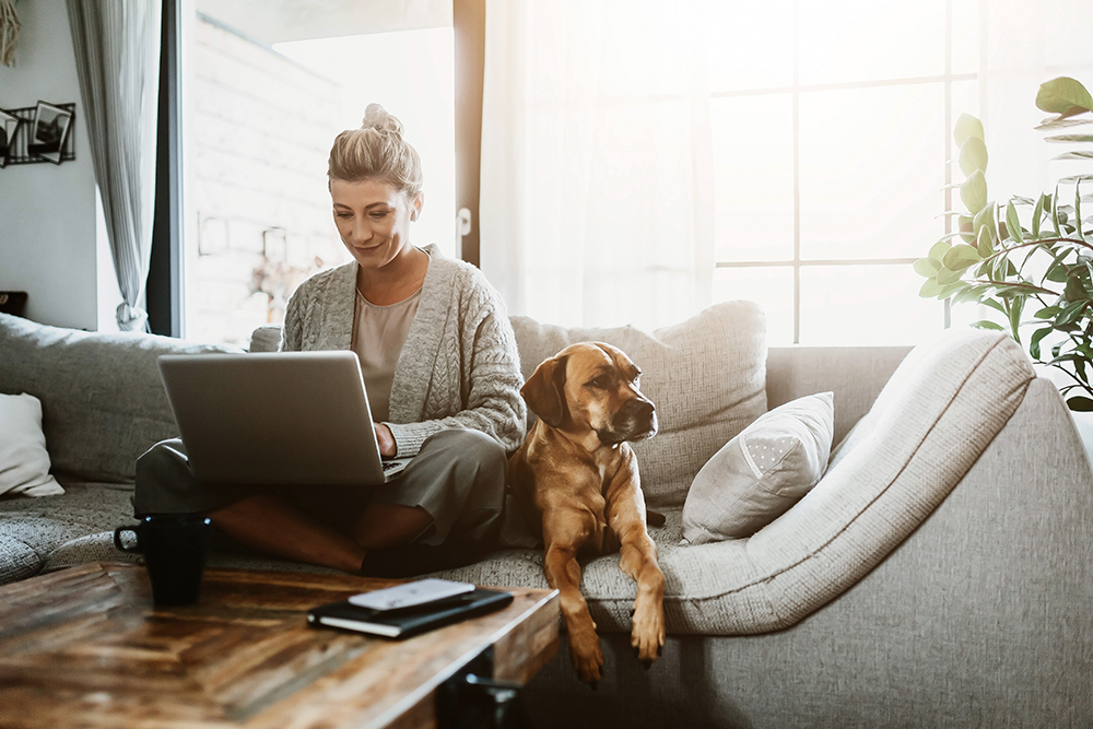 Teleworking from abroad: prolongation of social security neutralisation for frontier workers. Read more here: ow.ly/pHyw50JQrgS.

#lawfirm #workingfromhome #socialsecurity