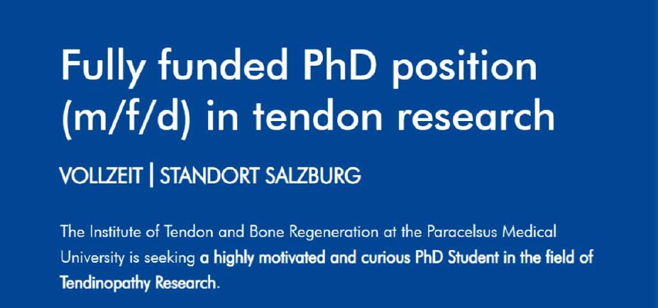 lbitrauma's tweet photo. OPEN POSITION within the #TissueRegAustria Cluster: The Institute of Tendon and Bone Regeneration at @paracelsus_uni is offering a fully funded #PhDposition in the field of #tendinopathy research. 👉https://t.co/2vjsTdmoRa
#ScienceJobs #academicjobs #findaphd https://t.co/jFhFd7XgwM