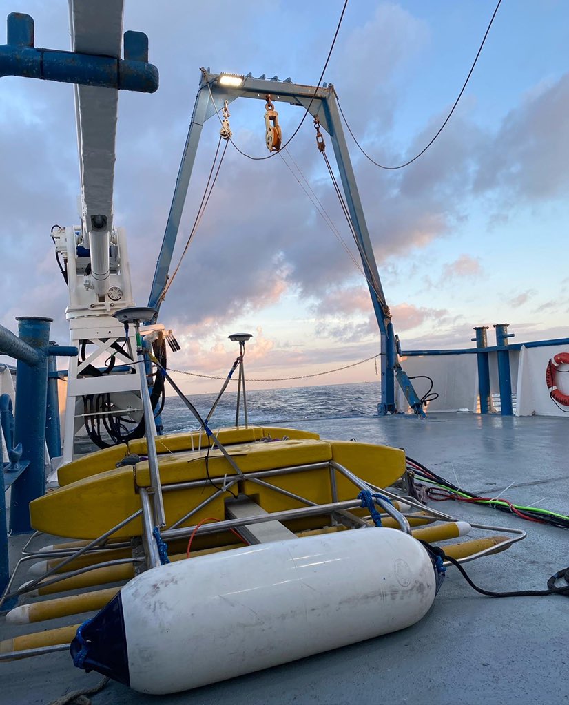 Dr. Kelli Moran tweet media