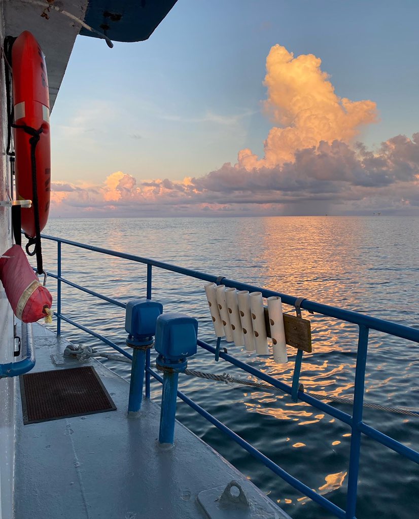 Dr. Kelli Moran tweet media