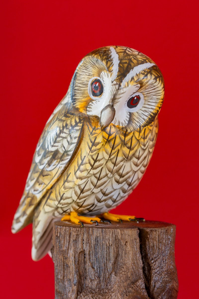 TravellersFinds's tweet photo. Owl standing wisely on detailed carved logs ornament 🦉
Beautifully hand carved from sustainable albesia wood &amp; skilfully hand painted...
ℹ️  https://t.co/iVzarjfD65
📐Measurements:     Height 16 cm
Sustainable Hand Carved Wood 
https://t.co/92oZaherNV
#giftideas
#birdlovers https://t.co/8gy1cXxm2l