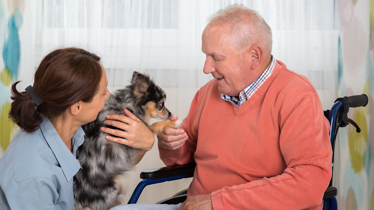 PetPowerEU's tweet photo. #WellbeingWednesday 

People with Alzheimer’s receiving animal-assisted
therapy showed an improvement in both cognitive
function and mood 🐕

For more examples of #PetPower, check out the Pet Alliance's booklet 👉https://t.co/jeWP21FG9y👈 https://t.co/sdu1YPbLla