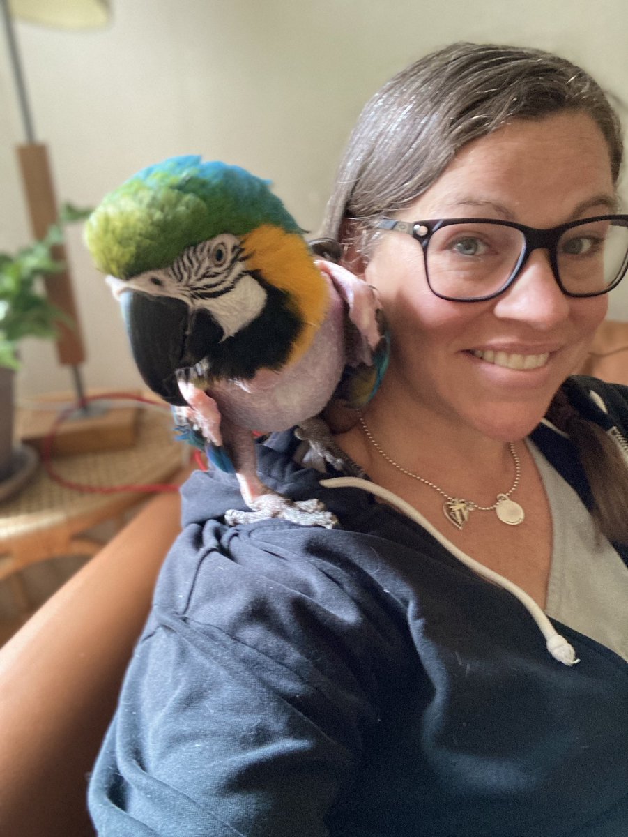 My sister-in-law’s macaw (a rescue) has decided she loves me. I’m both impressed and freaked out.