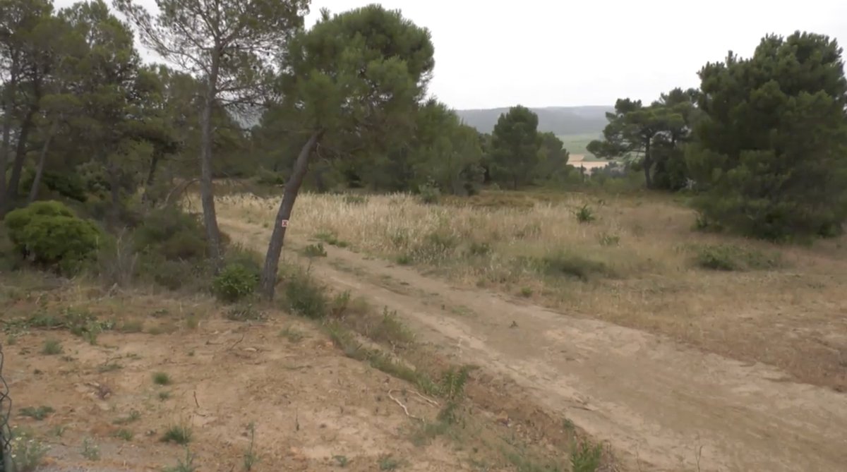 viaOccitanieTV's tweet photo. #Aude : La @Prefet11 a pris un arrêté pour la fermeture des massifs de la #Clape, de #Fontfroide et de Sainte-Lucie jusqu’à vendredi 8 juillet, en raison du risque #incendie. https://t.co/8J9YFtp9Hy