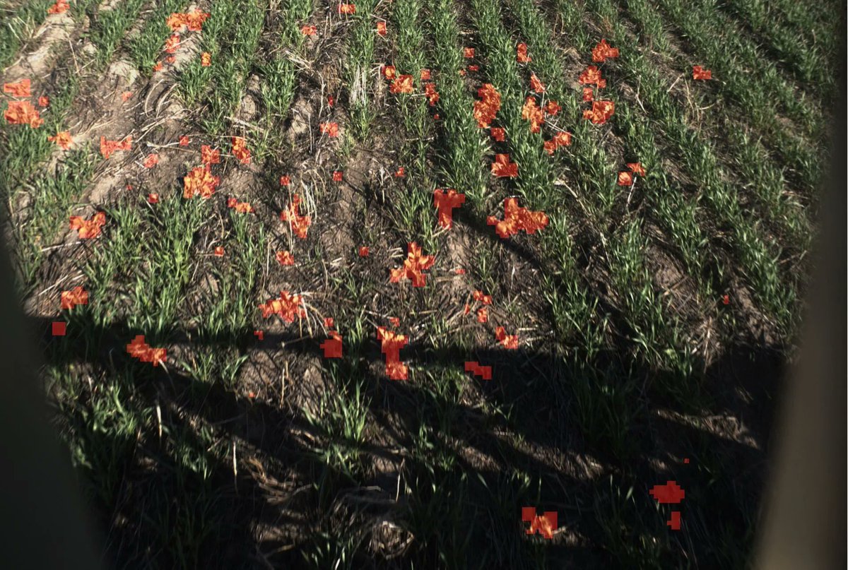 Bilberry (now part of PTx Trimble) tweet media