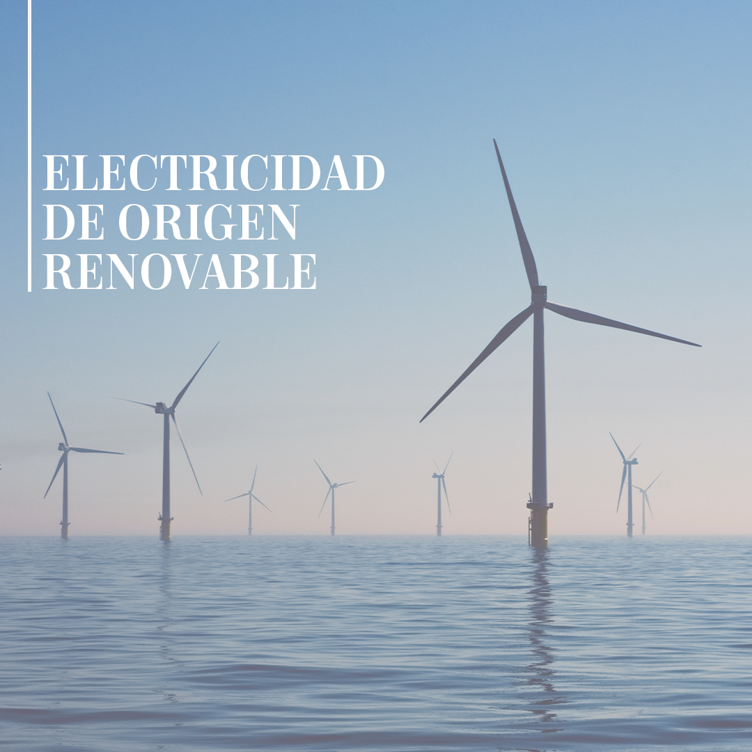 La #electrificación es la base de nuestro manifiesto. ¿Qué es?

La definición corresponde al proceso de sustitución de las tecnologías que usan combustibles fósiles (carbón, petróleo, gas...) por otras que funcionan gracias a la electricidad que surge de las energías #renovables.