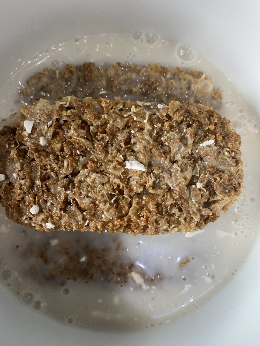 kirkwells75's tweet photo. @rebel_kitchen  first time trying #Mylk gone for semi. Is it supposed to have these bits in? I shook for ages first btw https://t.co/eLtAEgcmsp