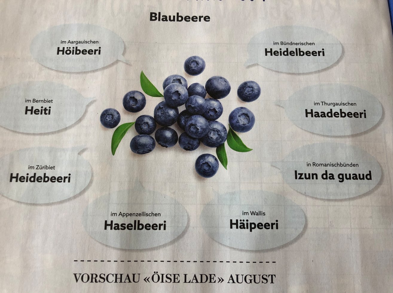 Warum Sagt Man Die Schweiz