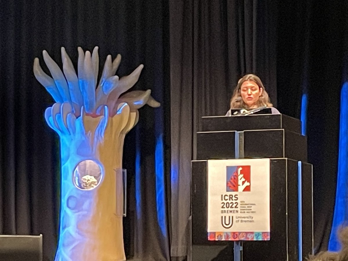 Raquel Peixoto tweet media