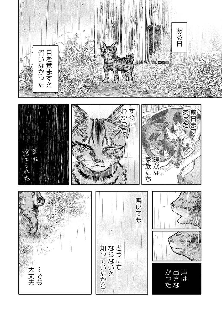 【宣伝】猫に生まれ変わりたいと願った元犬な猫が、犬派だという女の子に拾われる話【単行本2022/07/08(金)発売】(1/11) 