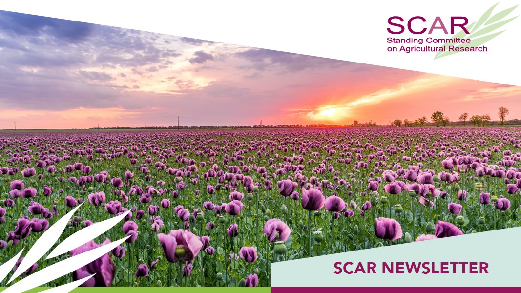 EUScienceInnov's tweet photo. 📢 Are you interested in research & innovation on agriculture, fisheries, food systems, forestry or the wider bioeconomy? 🚜
🔔 Subscribe to the bi-annual SCAR newsletter for the latest news, publications & networking possibilities from #SCARnetwork!
👉https://t.co/iVZOntkoSH https://t.co/rzPBxAOCCw
