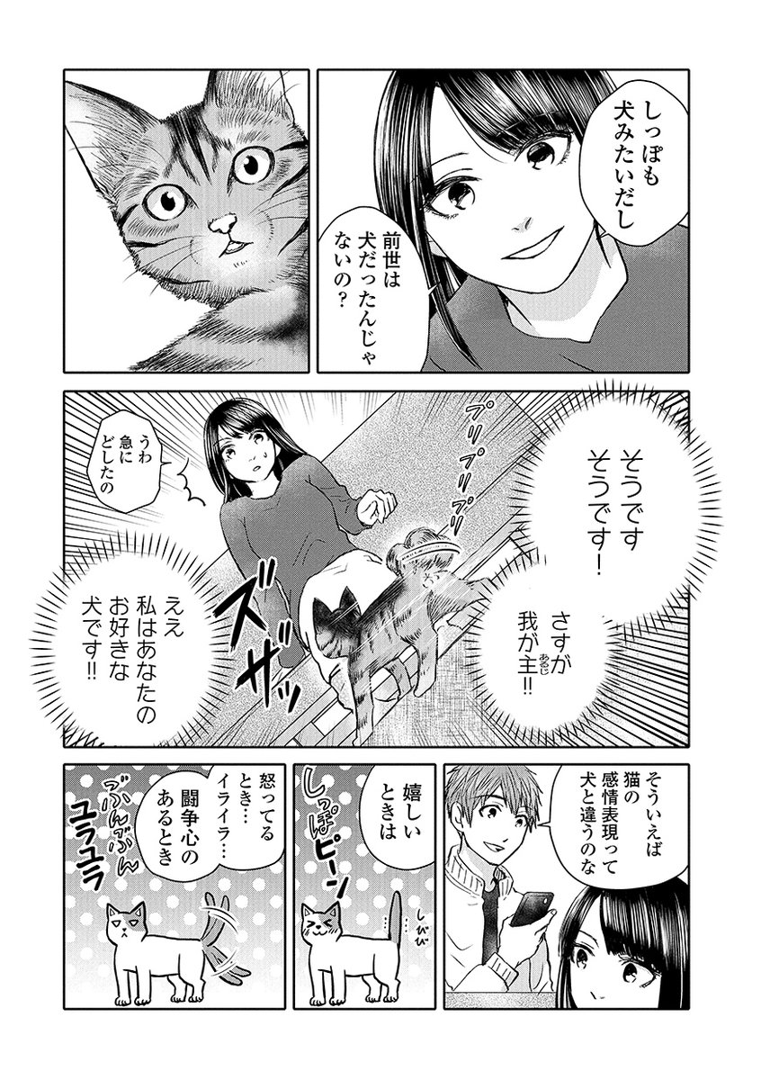 送料無料 一部地域を除く プリプリちぃちゃん プリプリハウス ちぃちゃんとうっちゃんのやねうらべや おもちゃ 女の子 6歳 Materialworldblog Com