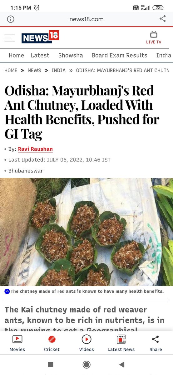 jeetsingharya's tweet photo. Requesting @ChhattisgarhCMO @bhupeshbaghel Ji to initiate and get the GI tag for Red Aunt Chutney for  Bastar. Even @GordonRamsay came to Bastar only to document Red Aunt Chutney.

@ExploreBastar @BastarDistrict https://t.co/DCiuyxxhOf
