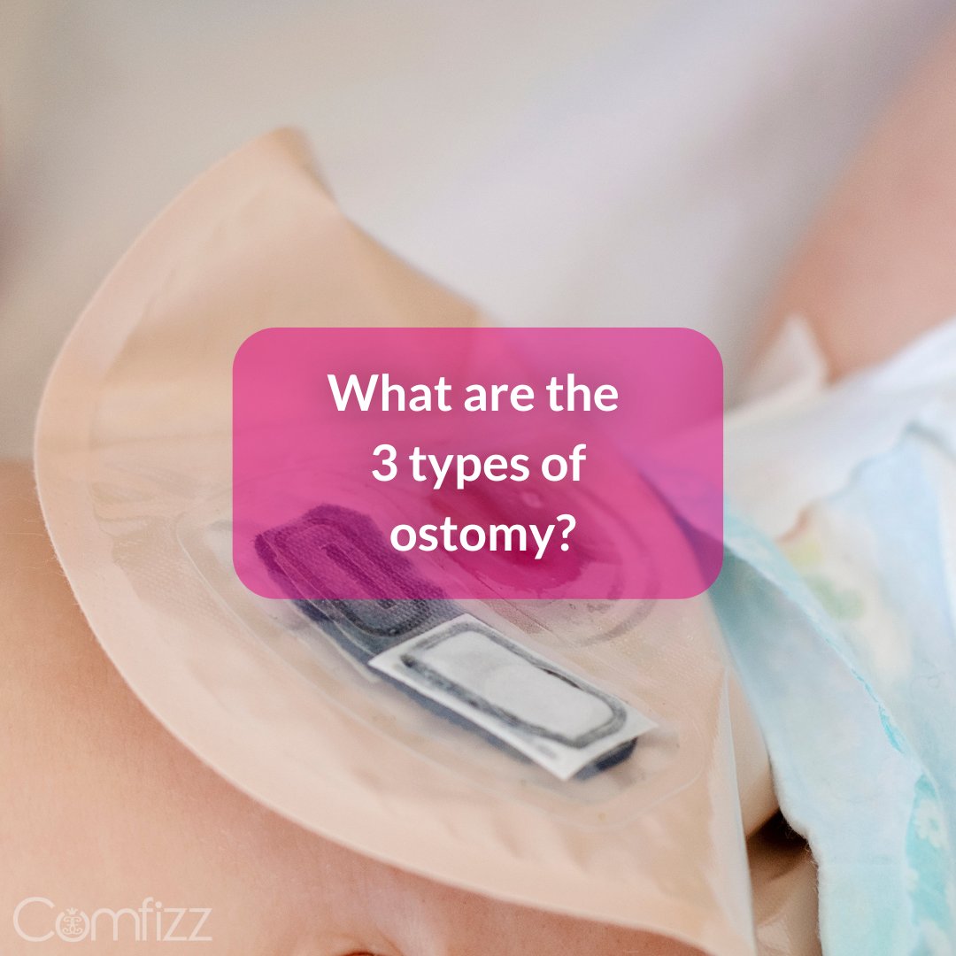 Comfizz's tweet photo. 🍓 Answer: Ileostomy, Colostomy & Urostomy (in the abdominal & pelvic area)
📑 Read our latest blog post here: https://t.co/JrIkx34AeP
#comfizz #urostomy #ileostomy #colostomy #learnwithus #learnwithinstagram #healtheducation #ostomy #stoma https://t.co/BWPLePNPgD