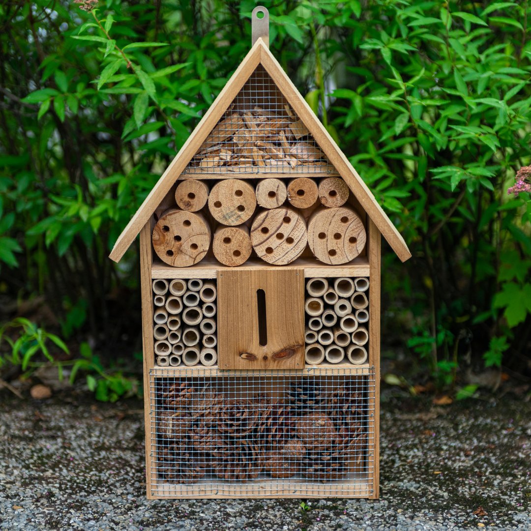 countrylifegc's tweet image. Wild Bees forage close to home and therefore need suitable nesting sites nearby. Give pollinators a safe place to live by buying or building your own bug hotel.

#operationpollination #pollinators #beefriendly #CountryLife