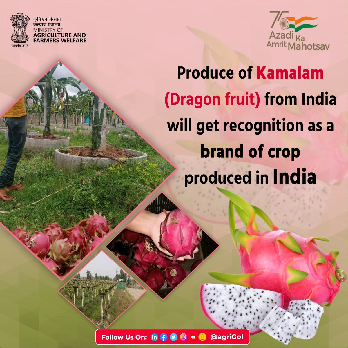 Agriculture INDIA tweet media