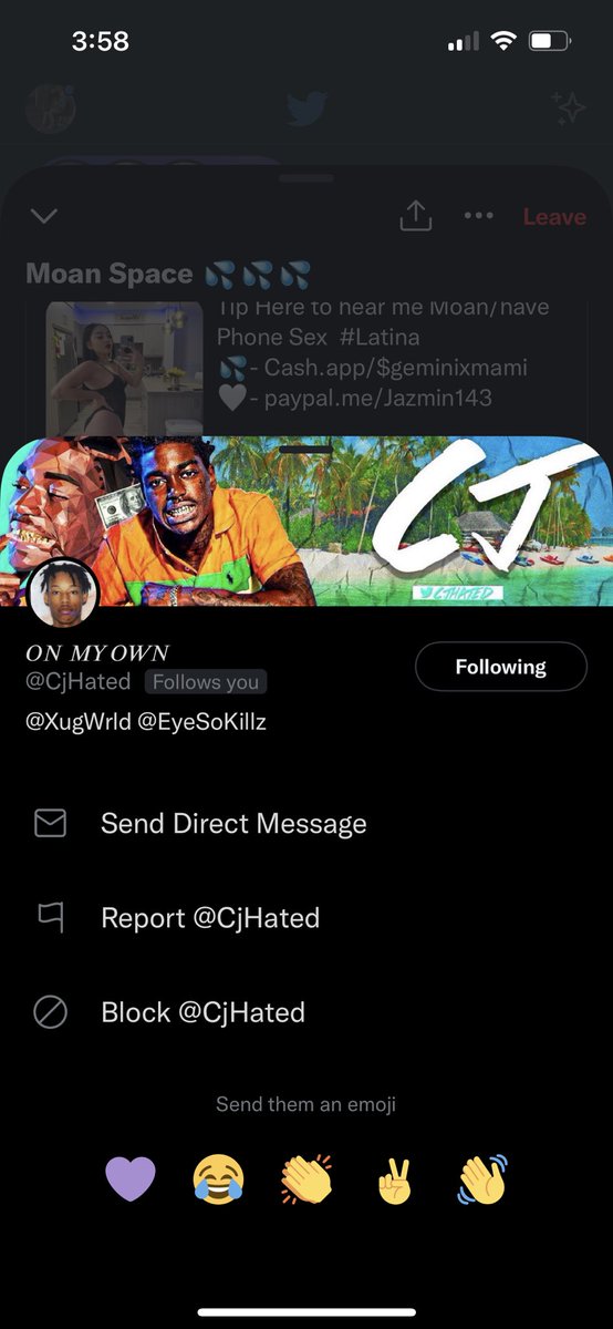 fs tweet media
