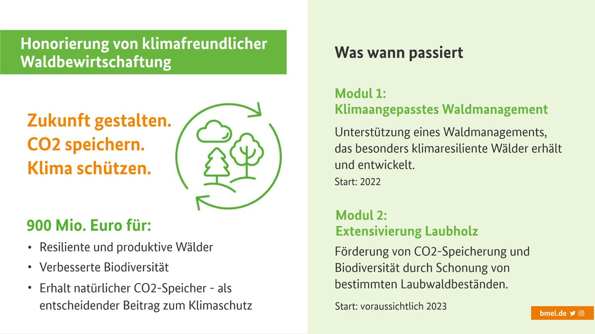 BMLEH_Bund's tweet photo. 900 Mio. € für mehr Klima- und Biodiversitätsschutz im #Wald 🌳🌲🌳

Wir #bmel investieren mit dem Förderprogramm in resiliente und produktive Wälder. Die Umsetzung beginnt dieses Jahr mit der Unterstützung in ein klimaangepasstes #Waldmanagement.

PM ⇨ https://t.co/6JJFAIuyit https://t.co/oj1QuJFhwl