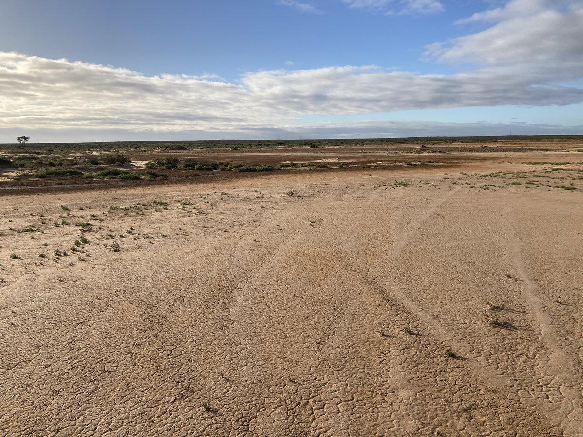 Angus Whyte tweet media