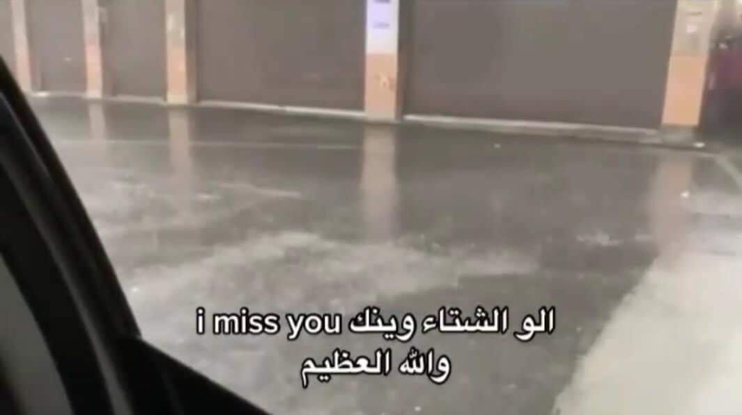 egymeme11 tweet picture