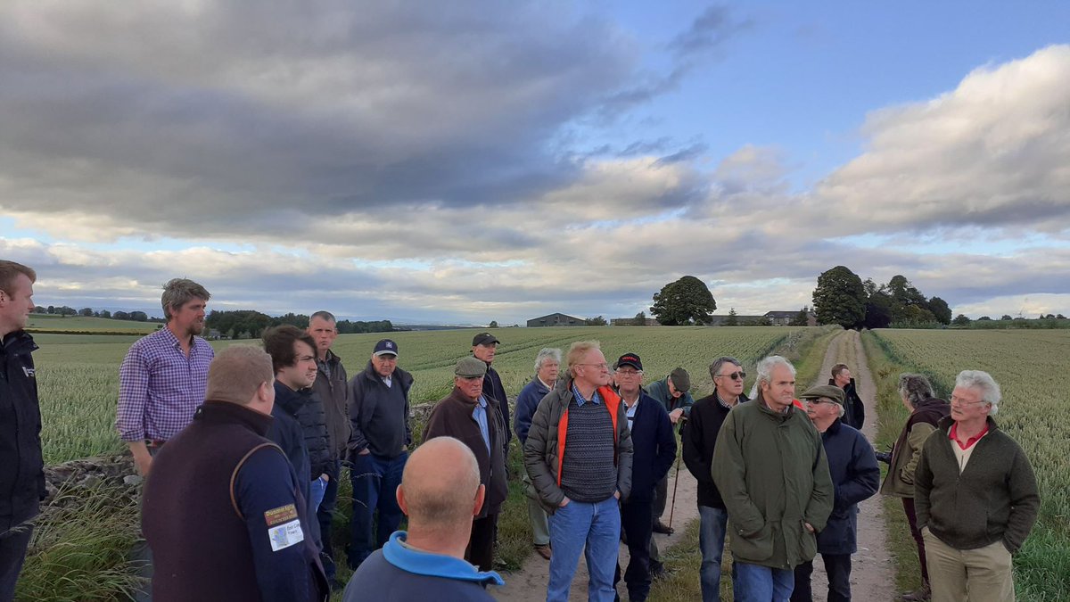 SACFarm4Climate's tweet photo. Great meeting yesterday with local discussion groups @BackboathFarms. @SAC_ZachReilly &amp; host Hugh Black discussed some novel techniques used by the Soil Regen Group inc grazing winter cereals and different methods of establishment #regenagricsoil 

More at https://t.co/pajWTteIiY https://t.co/b0Cnharjuj