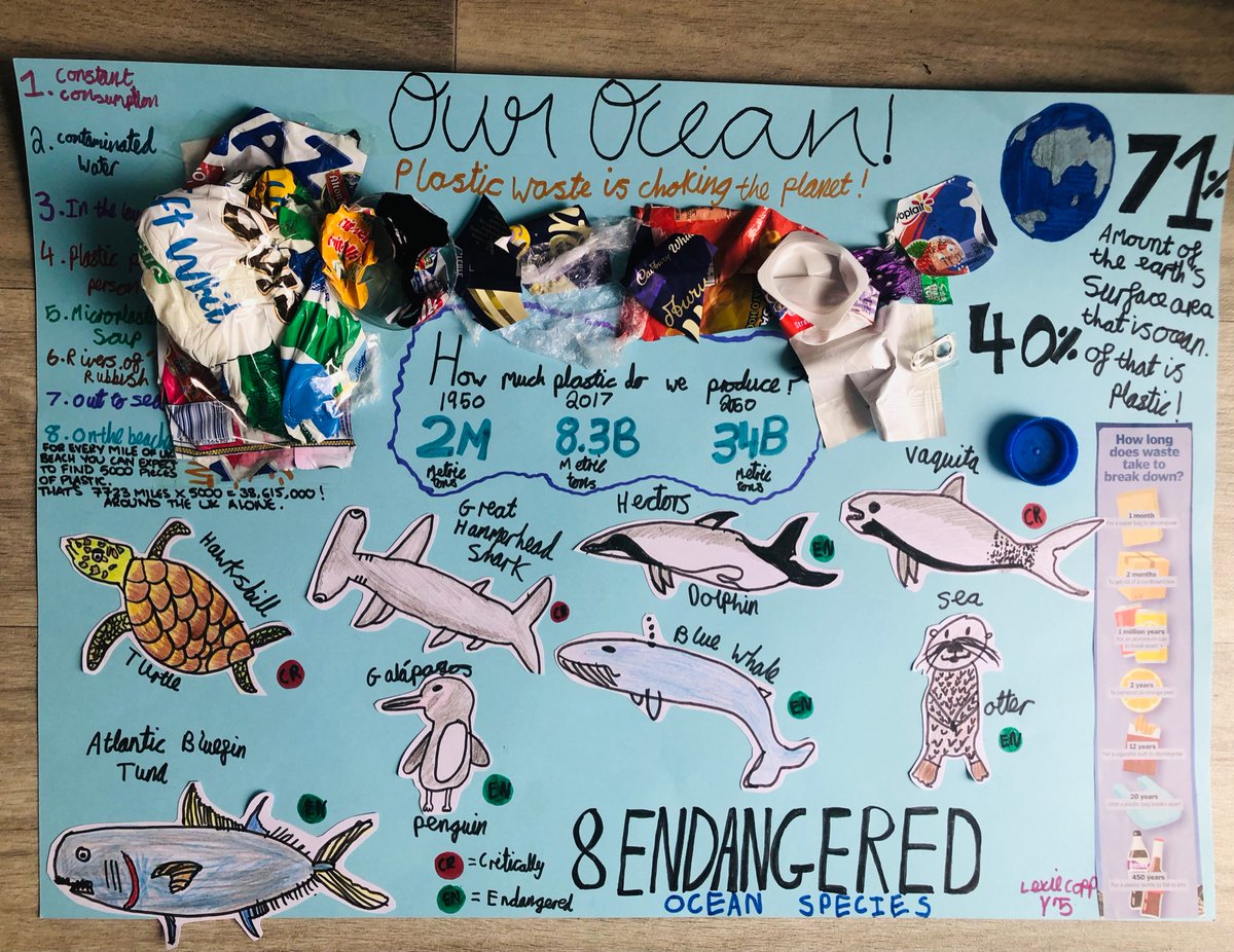 KristinaCopp's tweet photo. @exton_mary
 Lexie in Year5 loved making her poster entry for science week on Growth. Took her 3 days, lots of research and saving some of our plastic consumption 😱
 Choosing the topic of How Plastic Has Grown In Our Ocean and it’s effects! https://t.co/ZpXjf2s6se