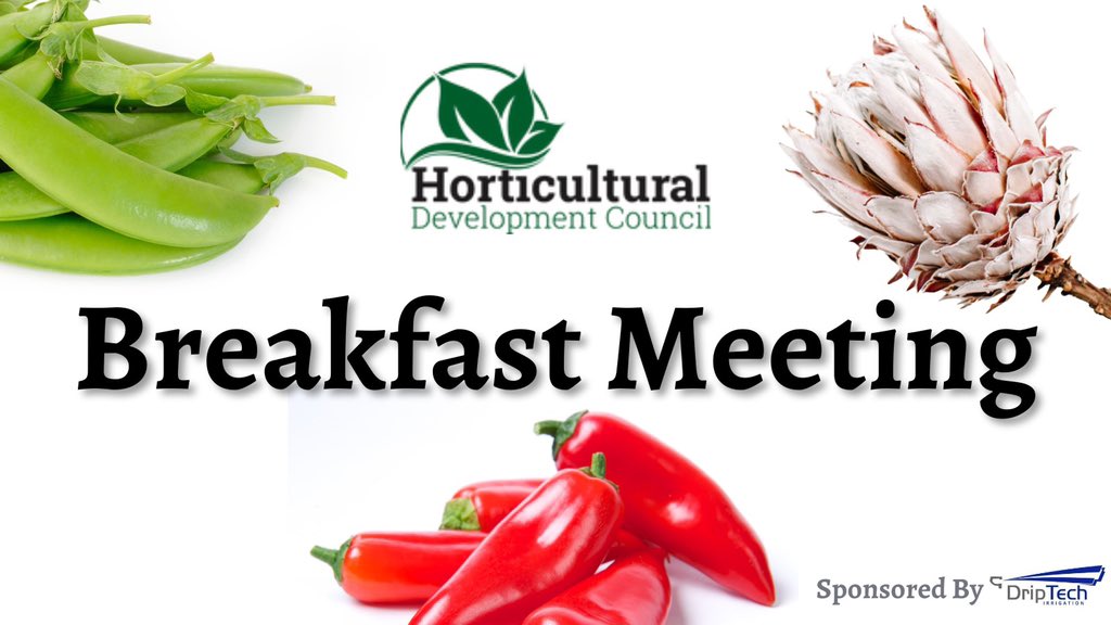 Funders, farmers and facilitators came together at The Working Tin to discuss and give some insights into some of Zimbabwean horticultures top questions! #hdczim