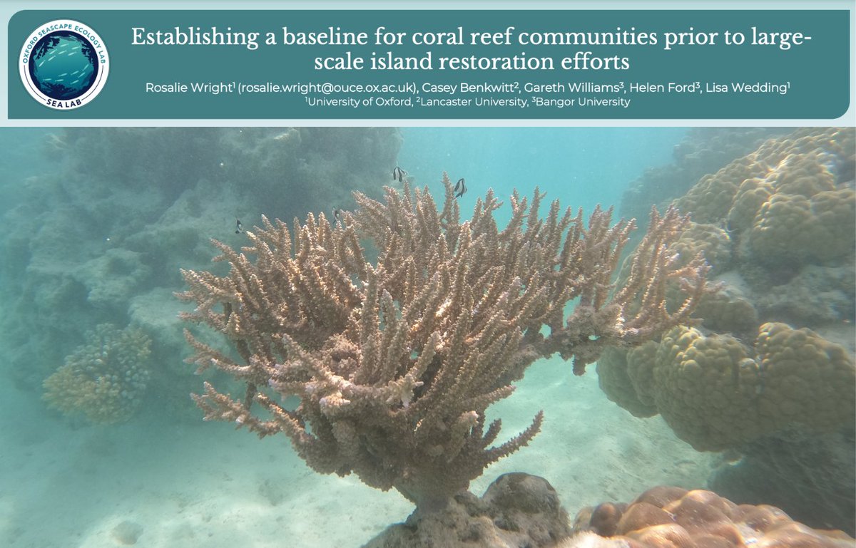 Oxford Seascape Ecology Lab tweet media