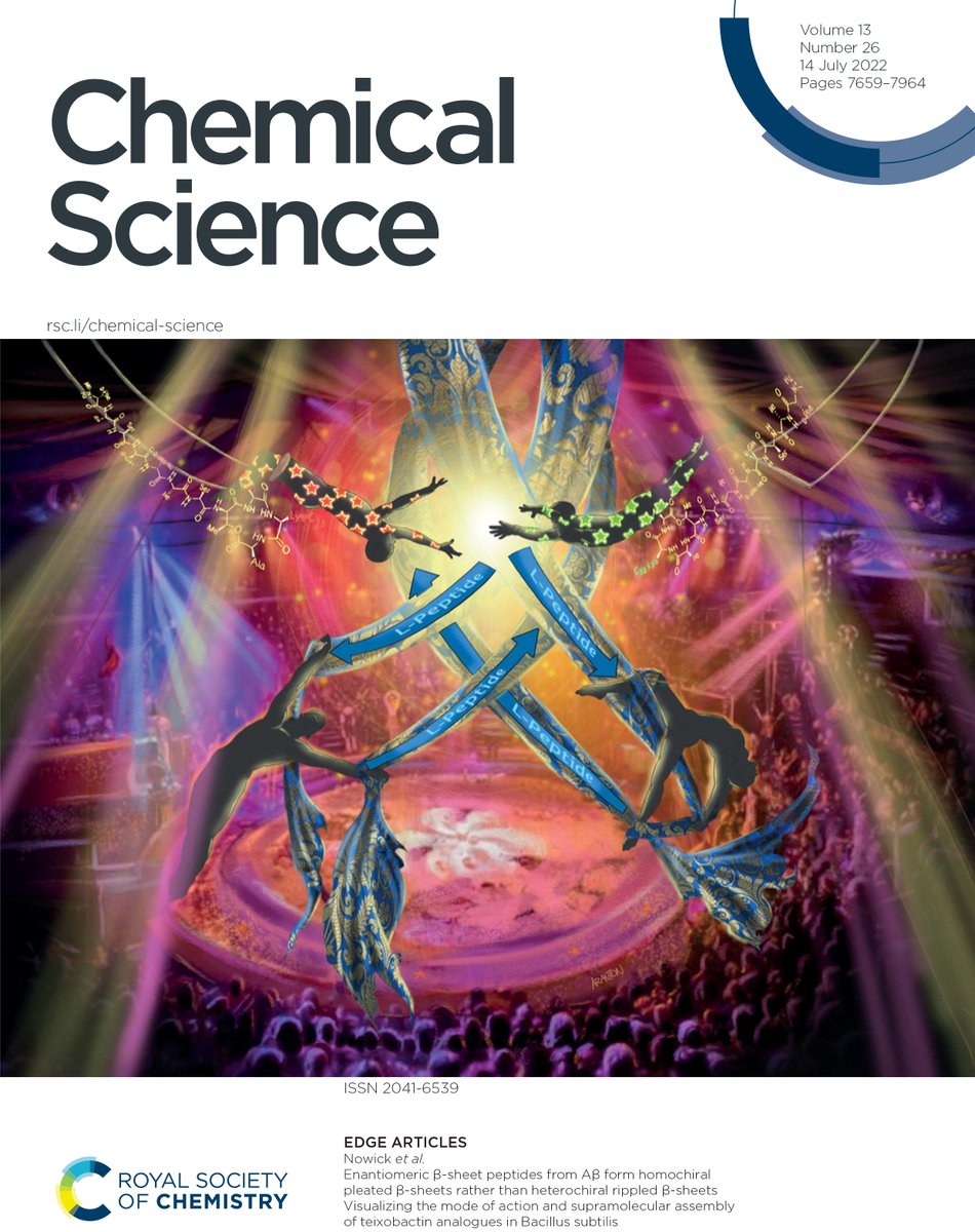 ChemicalScience's tweet photo. The new #ChemSciCovers have arrived! 🤩

🧬 James S. Nowick et al. (@NowickGroup, @UCIchemistry) present their new article!

🎪 Enantiomeric β-sheet peptides from Aβ form homochiral pleated β-sheets rather than heterochiral rippled β-sheets

Read HERE: 🔗 https://t.co/9xOVTpu4TV https://t.co/Ca1CkBPEoP
