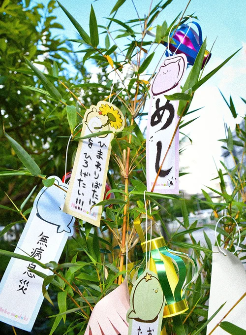 みんなの願いが叶いますように🎋 

#七夕 #ねこもどき #もどきどうぶつ 