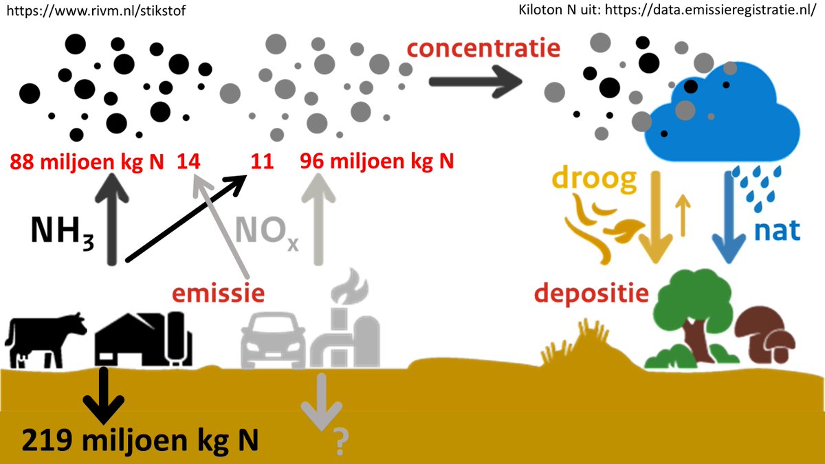 Op de site van <a href="/rivm/">RIVM</a> (rivm.nl/stikstof) staat bij onderwerp stikstof een emissieplaatje. Heb er o.b.v. wat gegevens die ik kon vinden van 2020 de miljoenen kg stikstof (N) bij gezet. N verlies naar bodem en (grond)water lijkt een grotere verliespost dan naar de lucht.