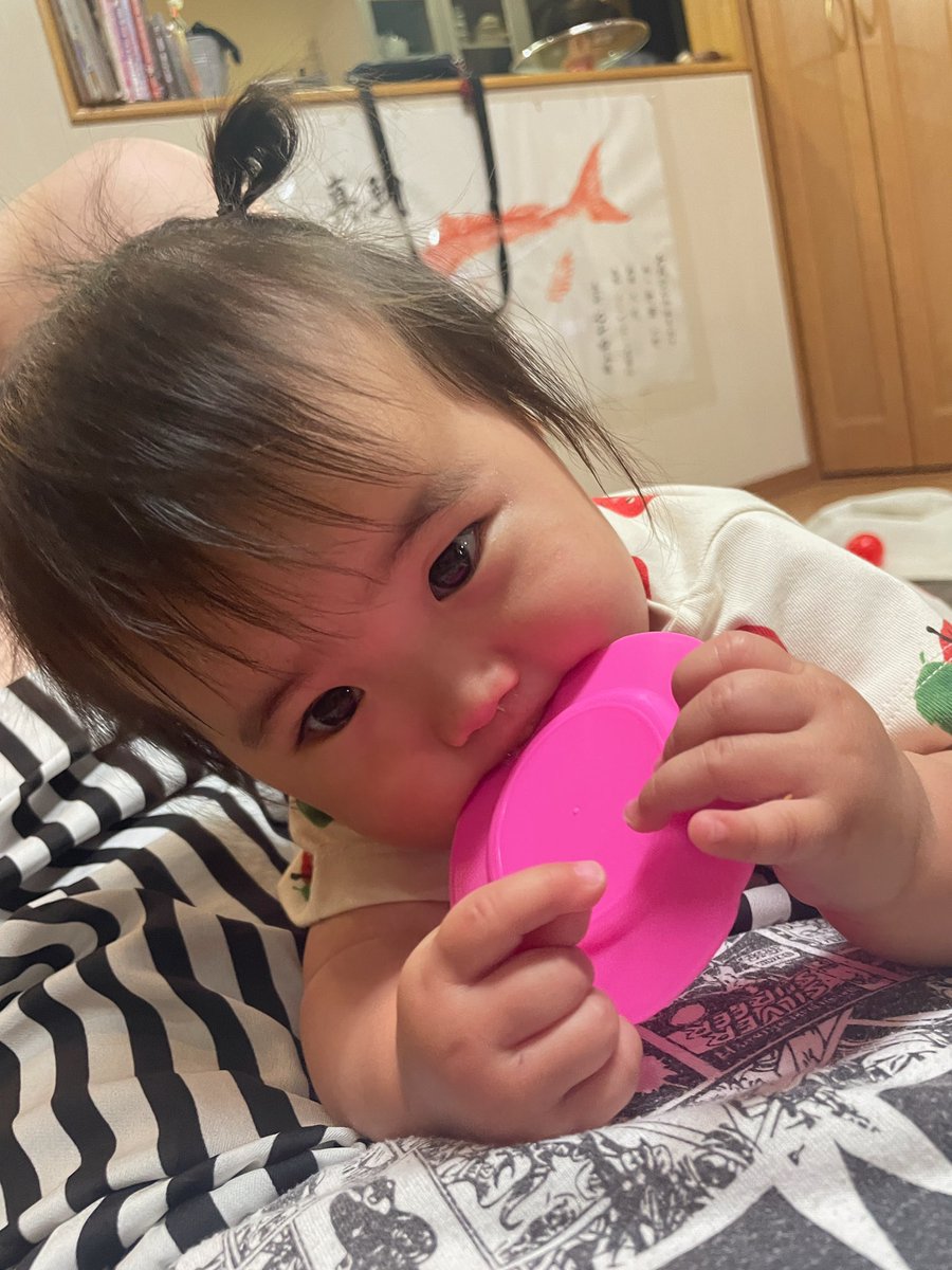 tabuami0830's tweet photo. うかﾁｬﾝ10ヶ月🫧 https://t.co/n5gzk4aeOi