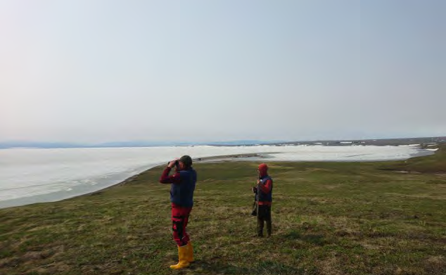 nunataryuk's tweet photo. https://t.co/uZlTCQEqUe
The first week of the Yukon22 expedition started with some surprises and challenges on Herschel Island. Read all about it in our blog! https://t.co/CM65FEgXsb