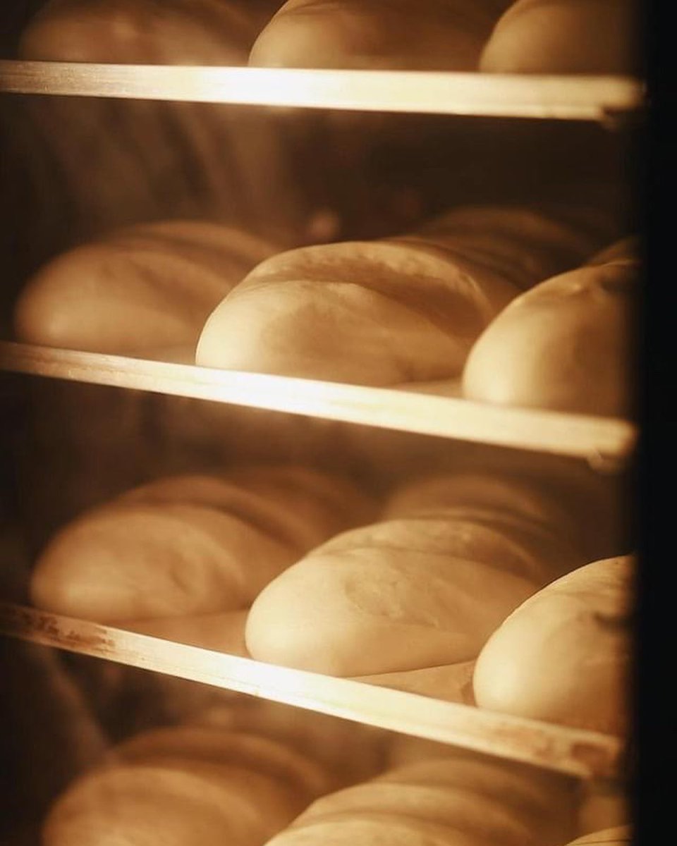 Ukraine Sunflower Aid tweet media