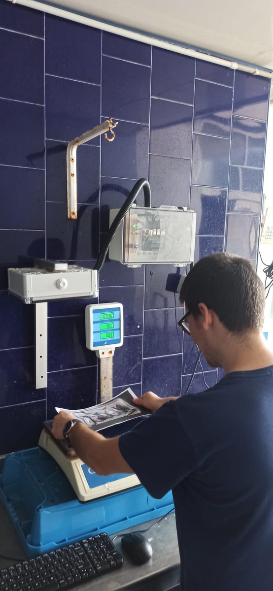UADeepFish's tweet photo. Ayer hicimos nuestras primeras pruebas del STR en la lonja de Campello, todo va cuesta arriba. #FEMP #Pleamar #MachineLearning #Campello https://t.co/EXdFdrbPLF
