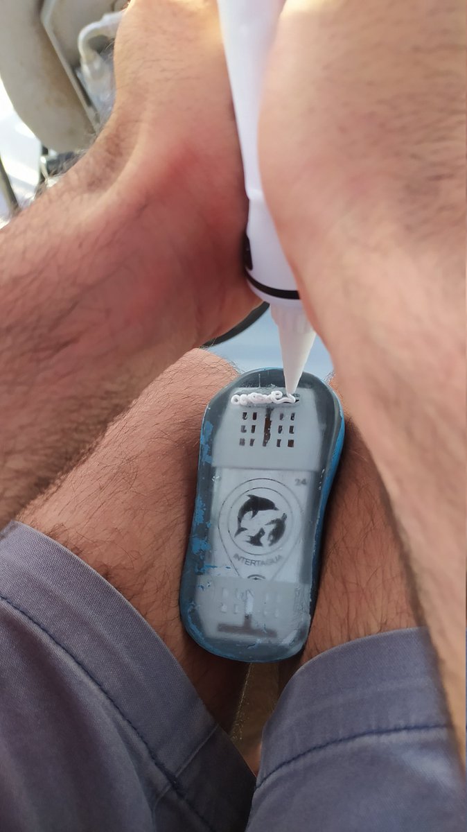 Intertagua tweet media