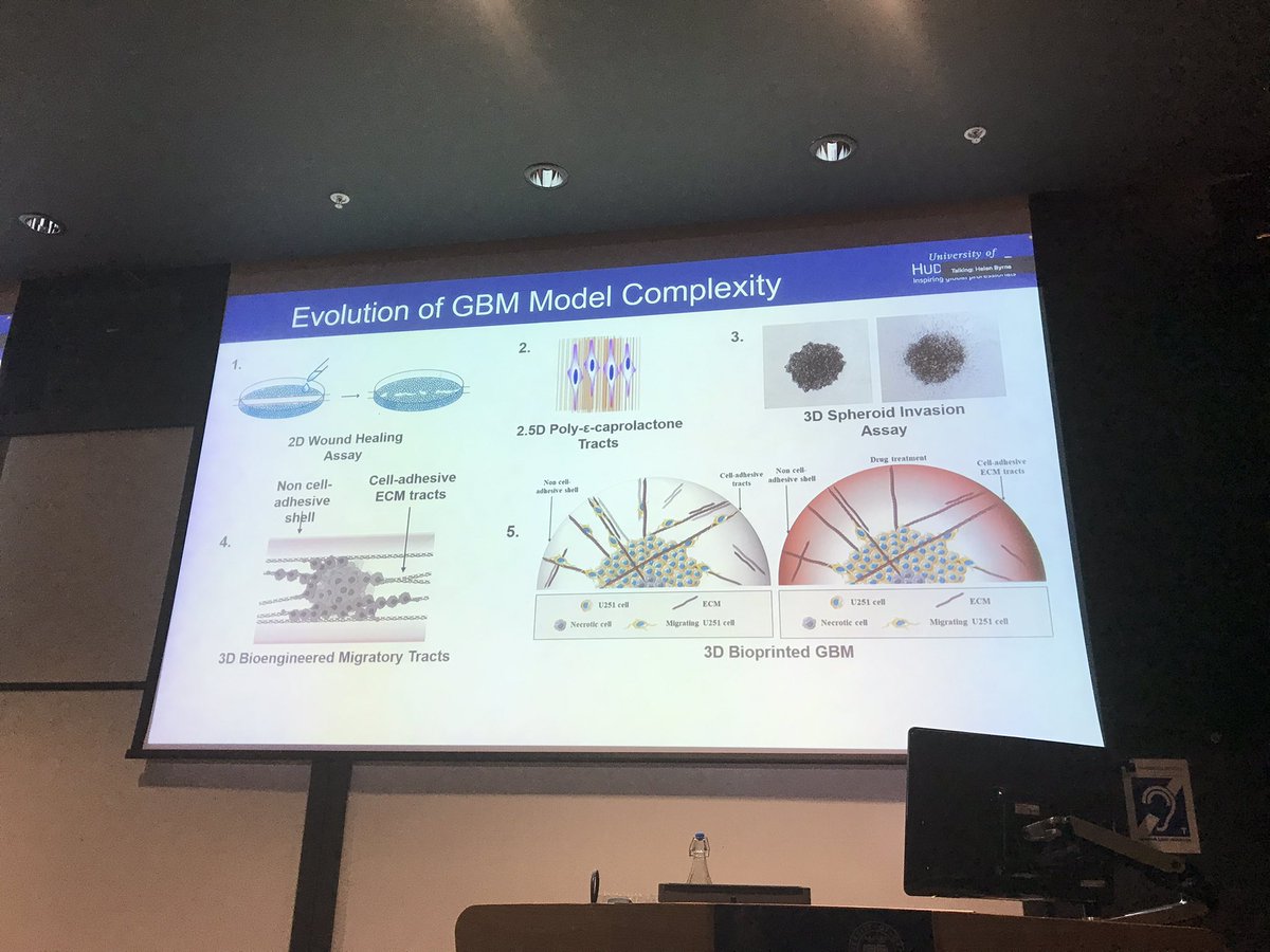 3dbionet tweet media