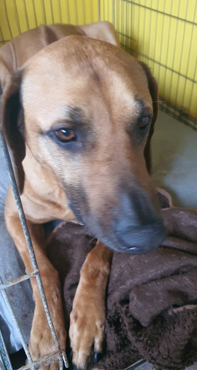 WFFW_Wanted tweet media