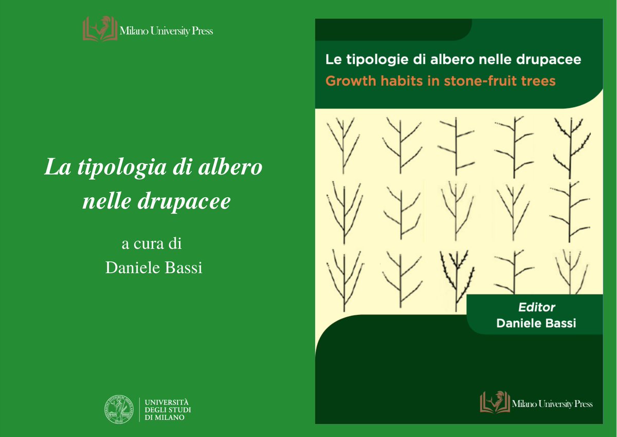 Milano_UP's tweet photo. 📖 È disponibile sul portale di Milano University Press Le tipologie di #albero nelle #drupacee, a cura di Daniele Bassi.

⬇️ Il volume Open Access, con testo a fronte in inglese, è liberamente consultabile e scaricabile all’indirizzo: https://t.co/949277WtVf https://t.co/4DzOiL8HrF