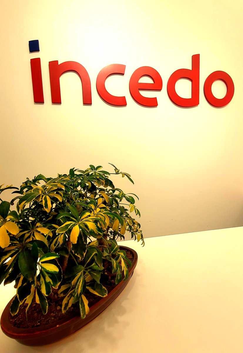 manvinder_s08's tweet photo. #Incedo @IncedoInc https://t.co/4BYXyDRZcg